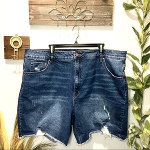 Terra & Sky Destructed Denim Shorts
